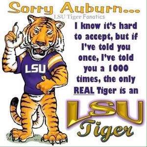 Meet your Posher, Darolyn